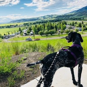 Meet your Posher, Lucy